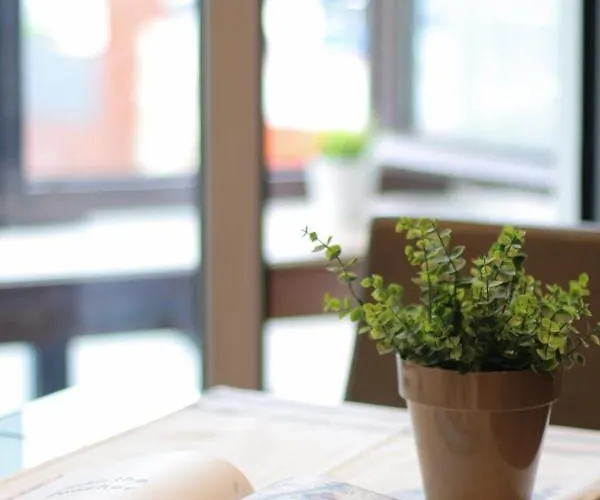 Πανσιόν Yoldi